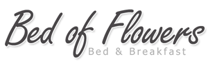 Chameleon Logo